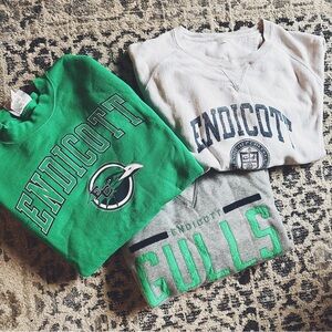 Endicott Gulls College Sweatshirts 3 Pk